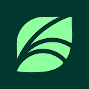 Springhealth66 logo